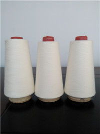 人棉紗30報(bào)價(jià) 廠家