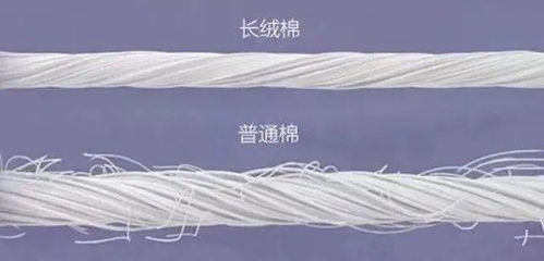 北歐風床品新寵 毛腈混紗，如何用簡約美學打造高級睡眠空間？